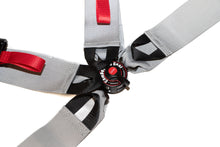 HPI 4 Point Harness