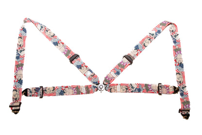 HPI 4 Point Harness